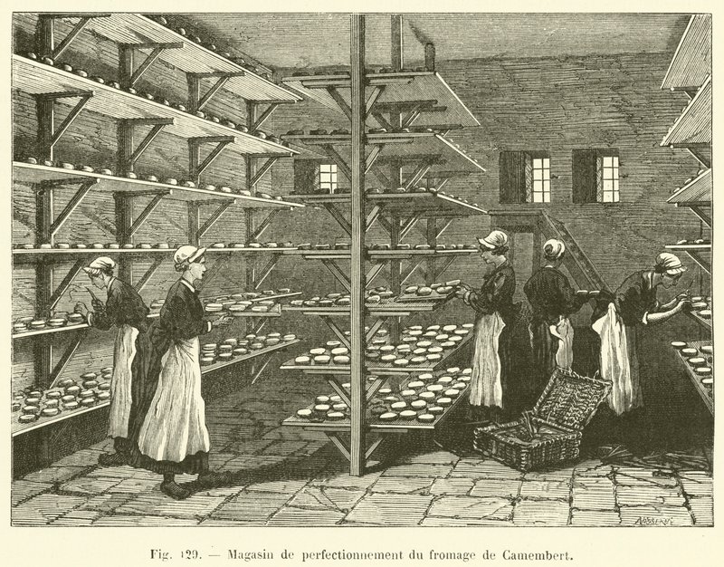 Camembert Cheese Improvement Shop by French School