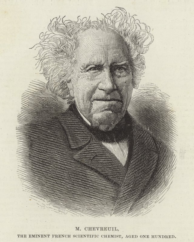 Michel Eugene Chevreul by French School