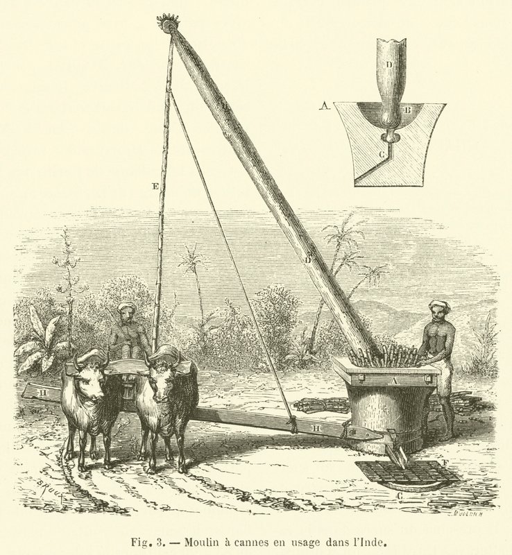Cane Mill Used in India (engraving) by French School