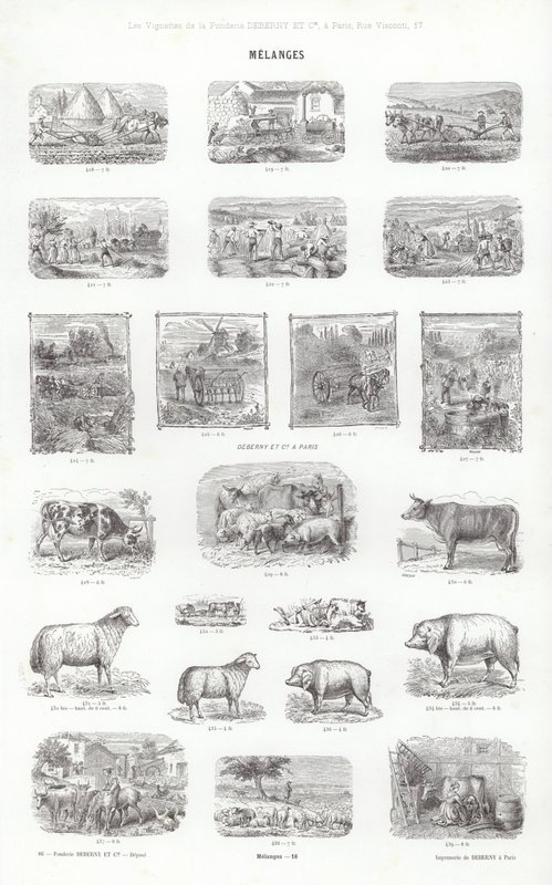 Page from Vignettes Typographiques by French School