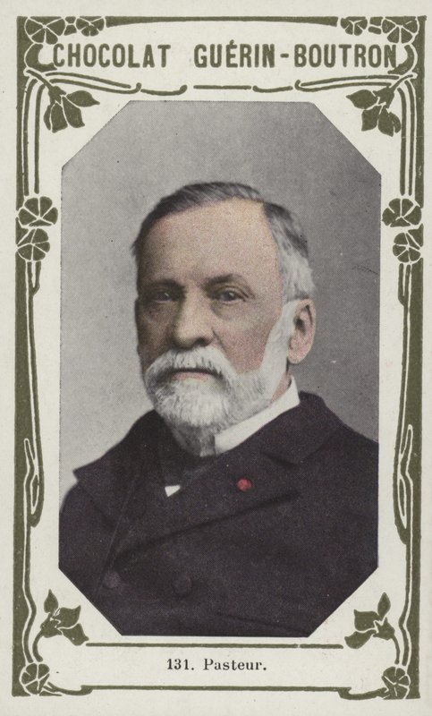 Pasteur by French School