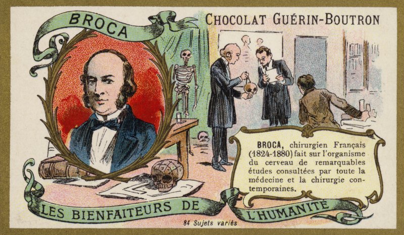 Paul Broca, French physician, anatomist and anthropologist by French School