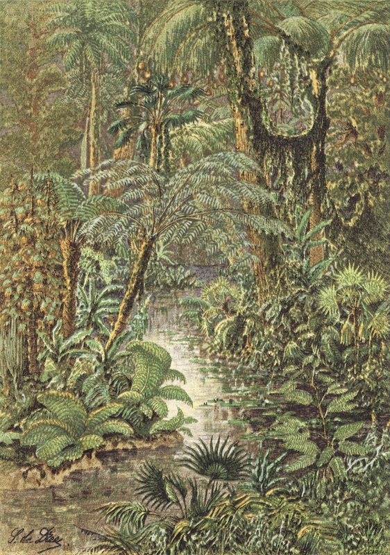 Antediluvian Landscape, a Forest of the Carboniferous Period by French School