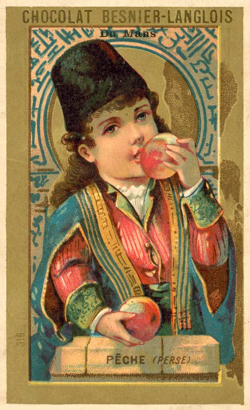 Peaches from Persia by French School