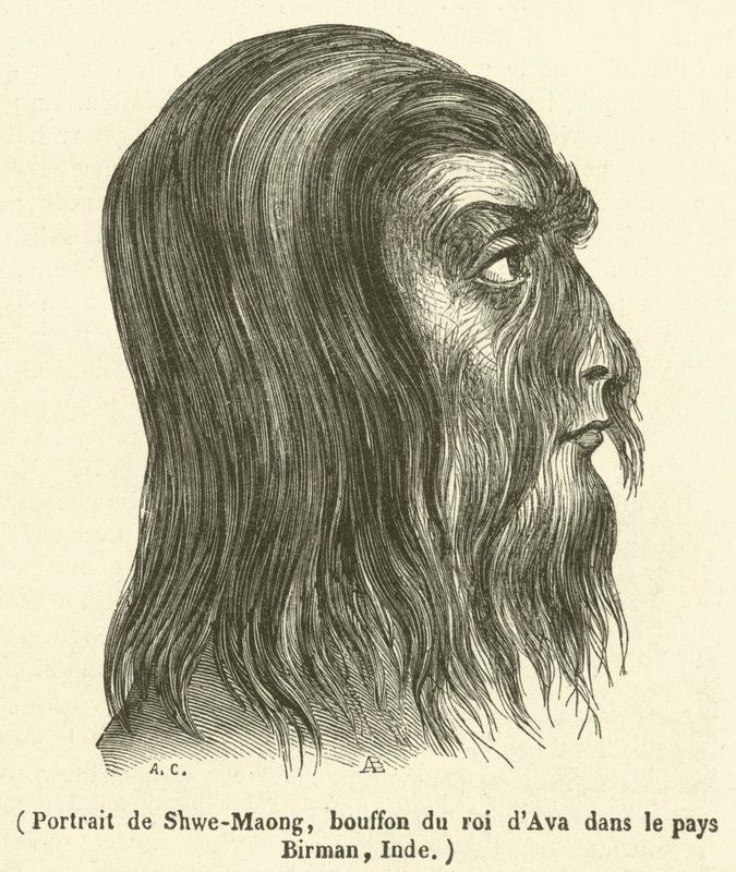 Portrait of Shwe-Maong, jester of the King of Ava in Burma, India by French School