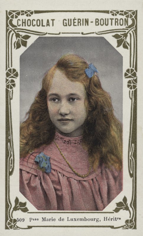 Princess Marie of Luxembourg, Heiress by French School