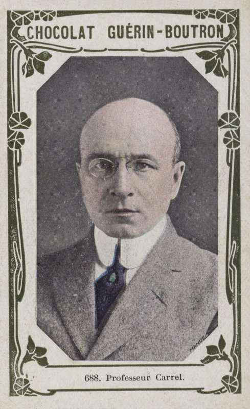 Professor Carrel by French School