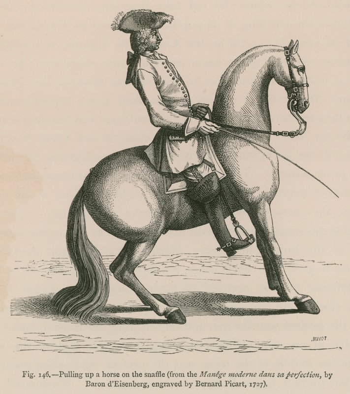 Pulling up a Horse on Snaffle (from the Manege moderne dans sa perfection, by Baron d