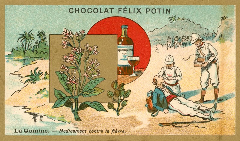 Quinine, Medicine Against Fever by French School