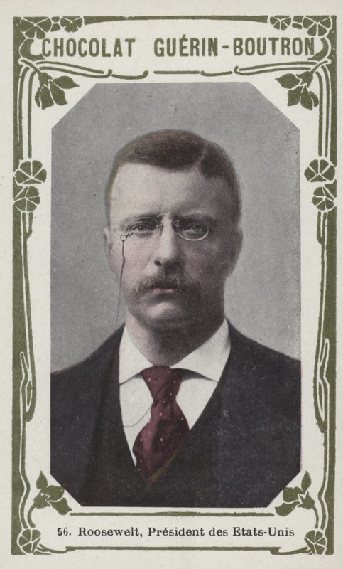 Roosevelt, President of the United States by French School