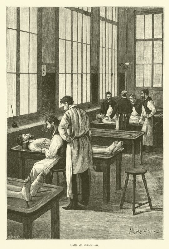 Dissection Room by French School