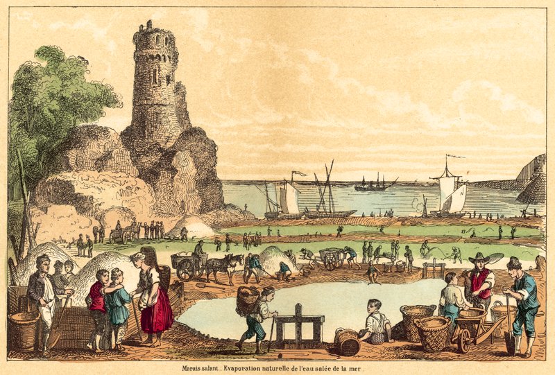 Salt (engraving) by French School