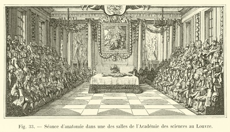 Anatomy session in one of the rooms of the Academy of Sciences at the Louvre by French School
