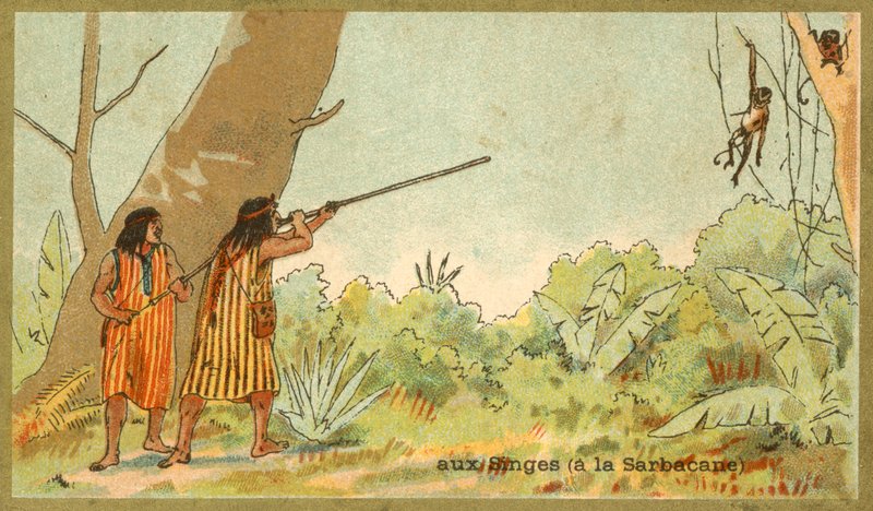 South American Indians hunting monkeys with blowpipes by French School