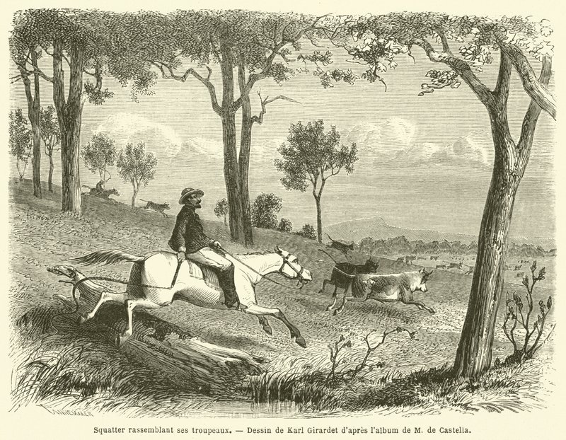Squatter Gathering His Herds (engraving) by French School