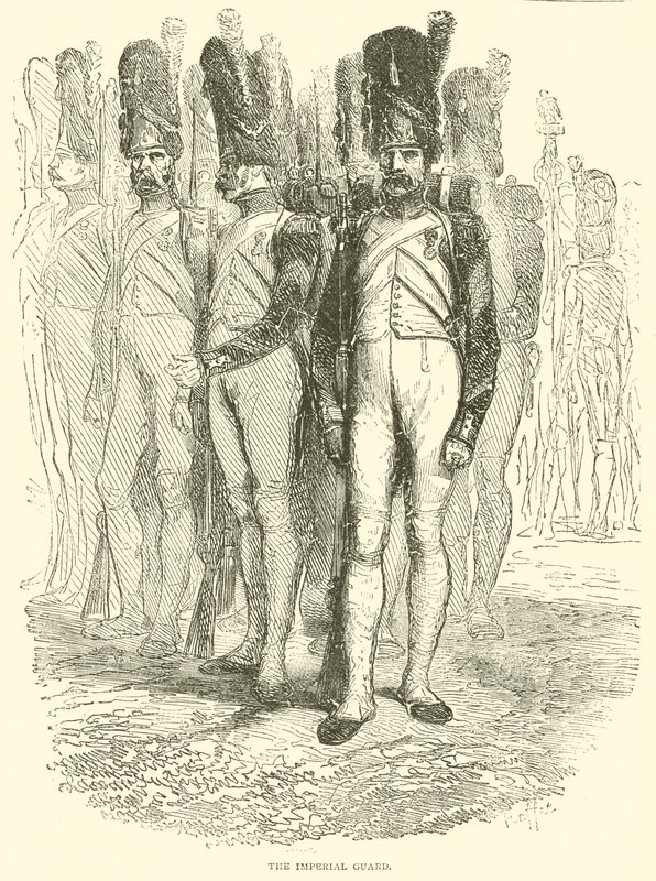 The Imperial Guard by French School