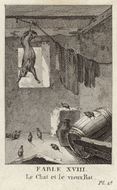 The Cat and the Old Rat by French School