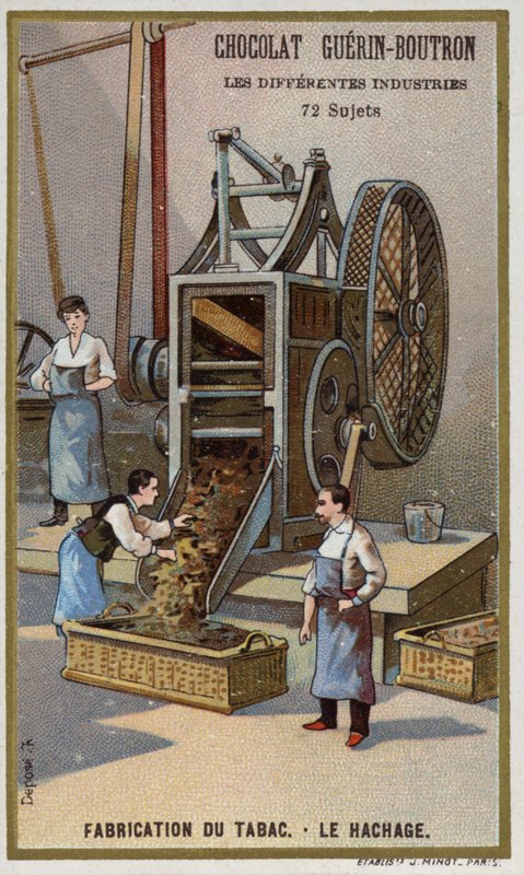 Tobacco Manufacturing. Shredding Leaves by French School