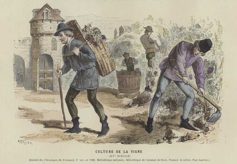Viticulture, 15th Century by French School