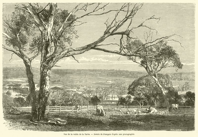 View of the Yarra Valley (engraving) by French School