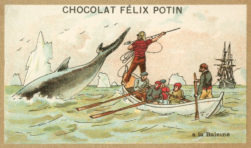 Whaling by French School