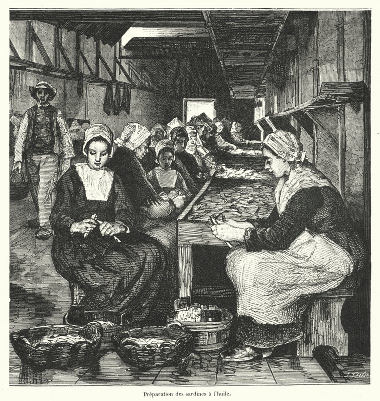 Women preparing sardines by French School