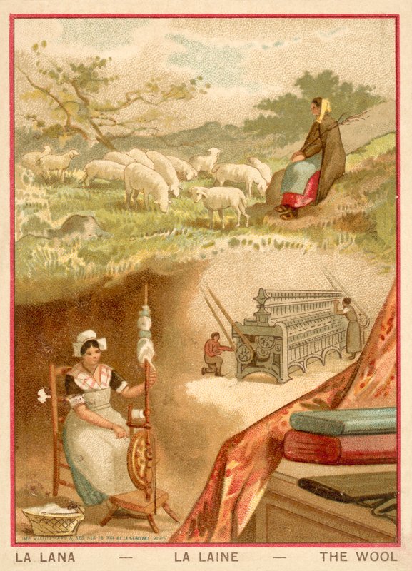 Wool by French School