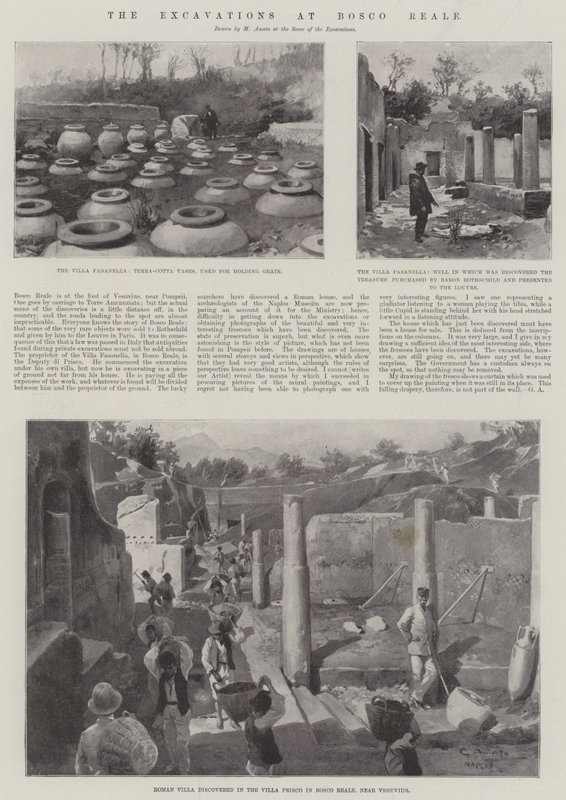 The Excavations at Bosco Reale by G.S. Amato