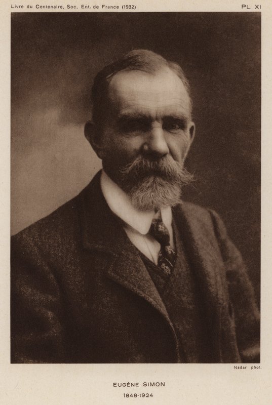 Eugene Simon, French naturalist, entomologist and taxonomist of spiders by Gaspard Felix Tournachon Nadar
