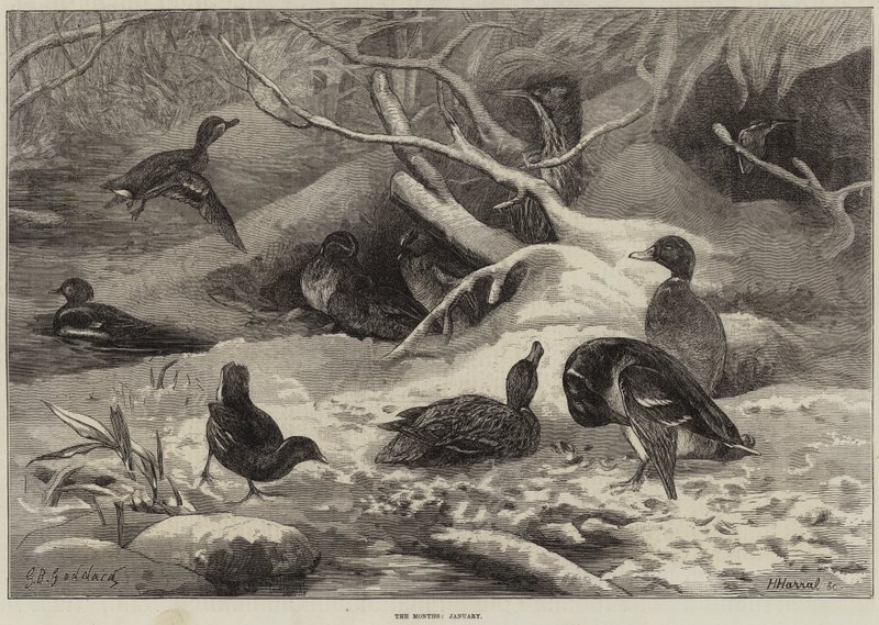 The Months, January by George Bouverie Goddard
