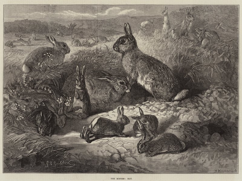 The Months, May by George Bouverie Goddard