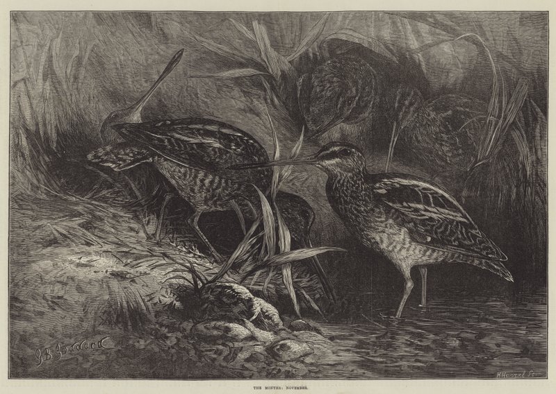 The Months, November by George Bouverie Goddard