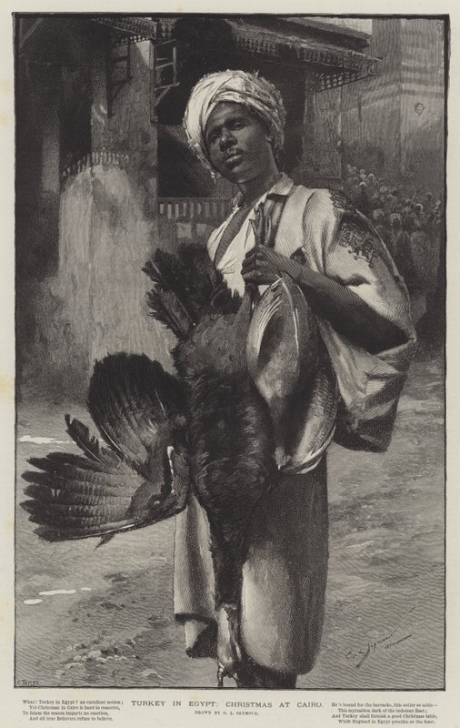 Turkey in Egypt, Christmas at Cairo by George L. Seymour
