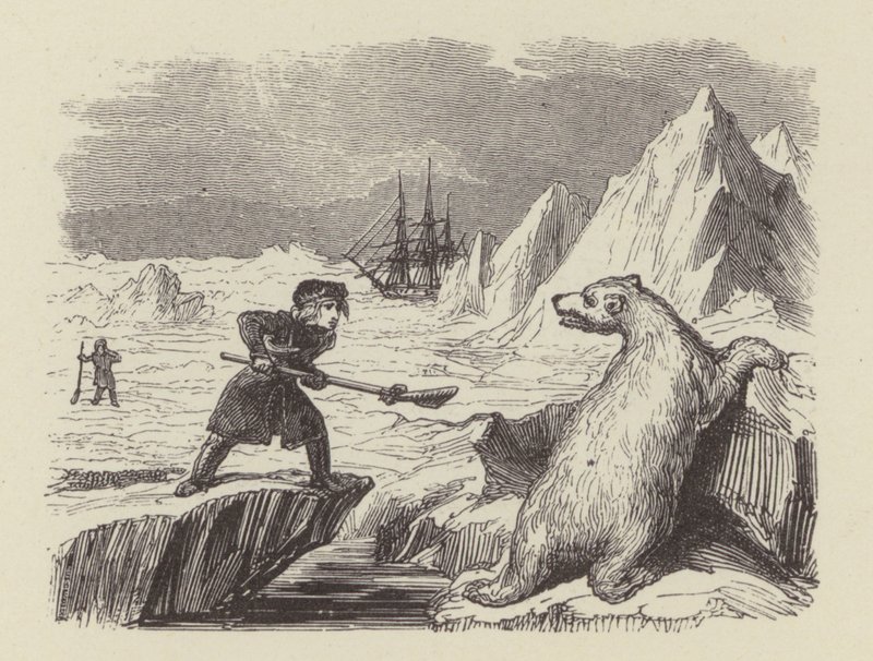 The Young Nelson Killing a Polar Bear by George (after) Cruikshank