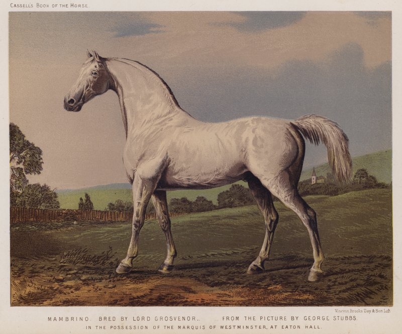 Nambrino, Bred by Lord Grosvenor, In the Possession of the Marquis of Westminster, at Eaton Hall by George (after) Stubbs
