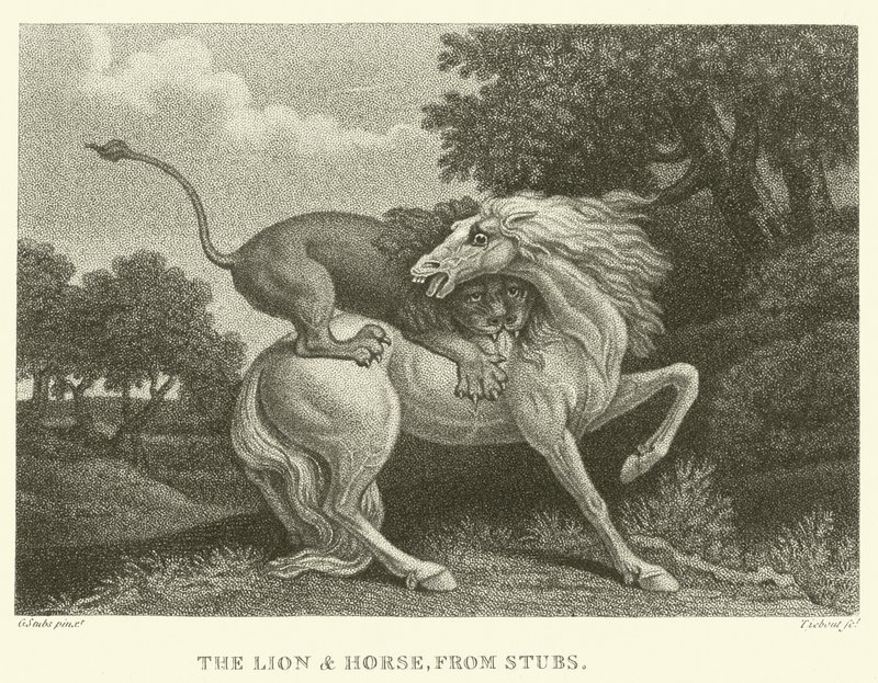 The Lion and Horse, from Stubs by George (after) Stubbs