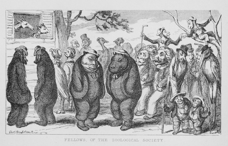 Fellows of the Zoological Society by George Cruikshank
