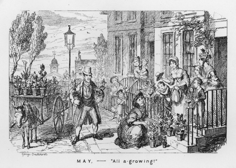 May, All A Growing by George Cruikshank