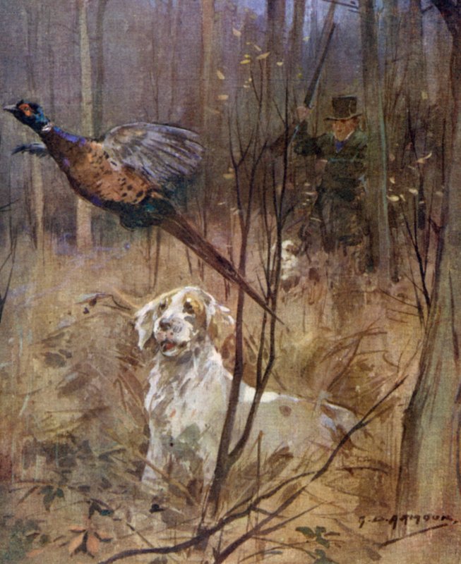 Pheasant shooting old style by George Denholm Armour