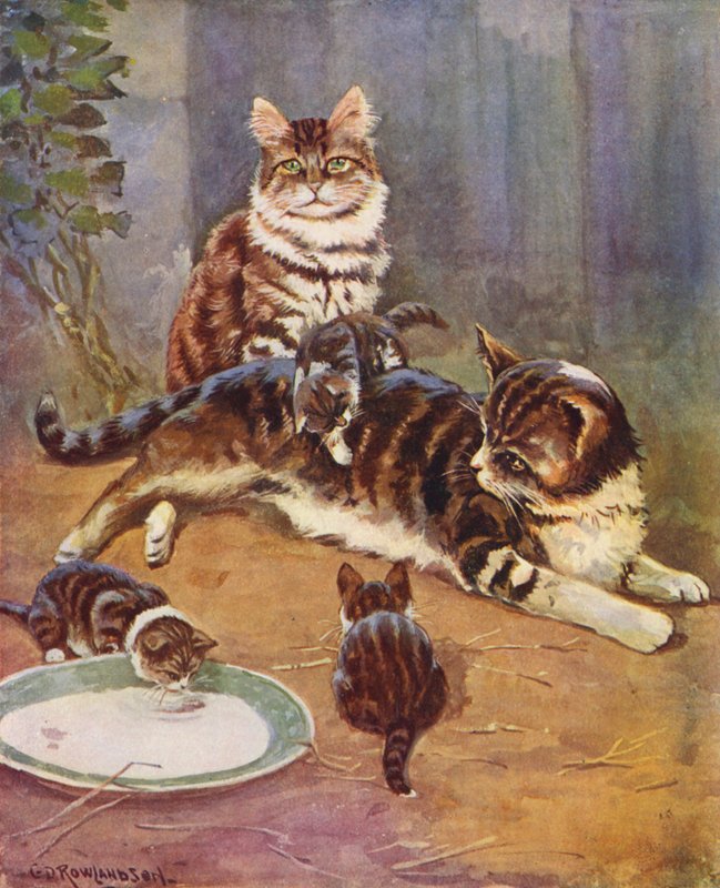 Nell was a beautiful tabby by George Derville (after) Rowlandson