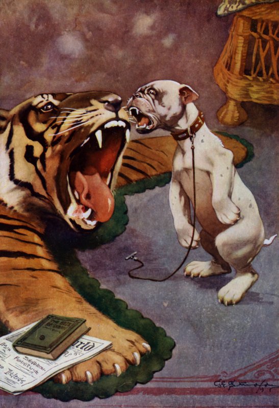 Tiger, Tiger - Dog Barking at Tiger Rug by George Ernest (after) Studdy