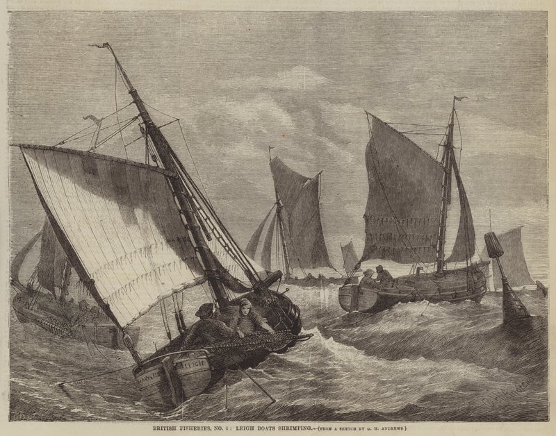 British Fisheries, No 6, Leigh Boats Shrimping by George Henry Andrews
