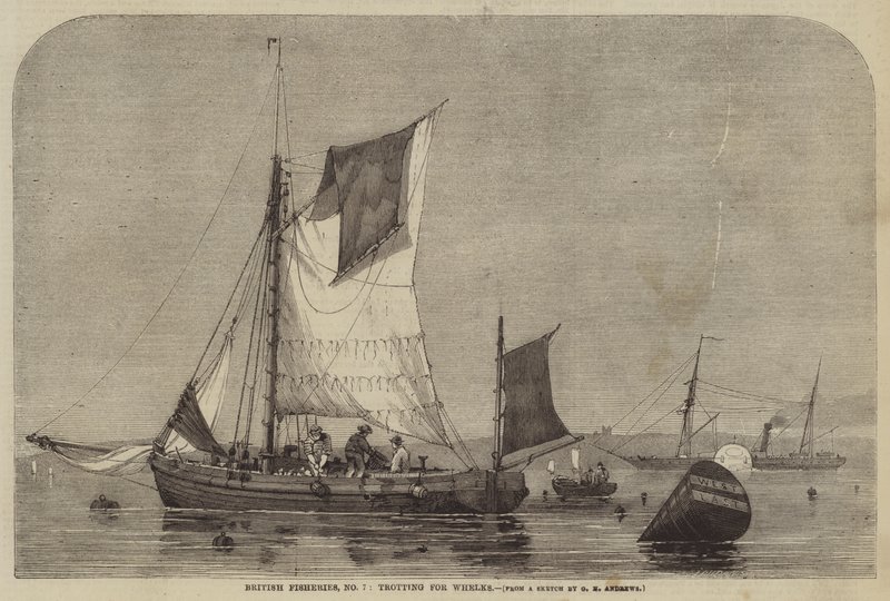 British Fisheries, No. 7, Trotting for Whelks by George Henry Andrews