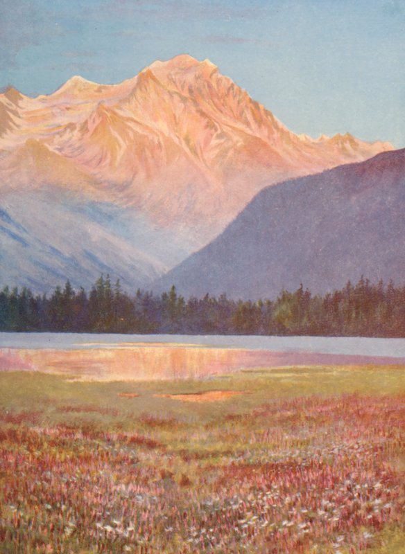 Evening Among the Fields of Pink Bistort at Lac Champex; Sunset-Glow on the Grand Combin, July by George Jackson Flemwell