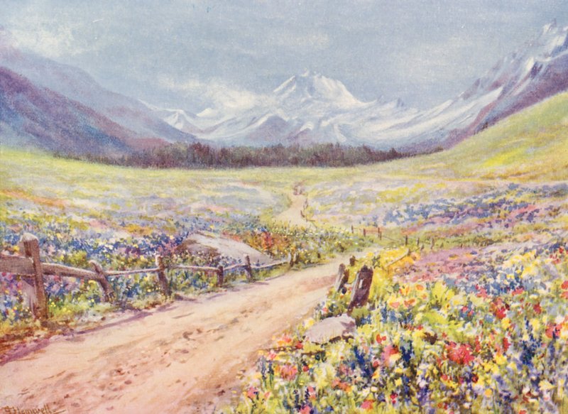 June Meadows of Salvia, Lychnis, etc, in the Val Ferret, Just Before Arriving at the Village of Praz de Fort by George Jackson Flemwell