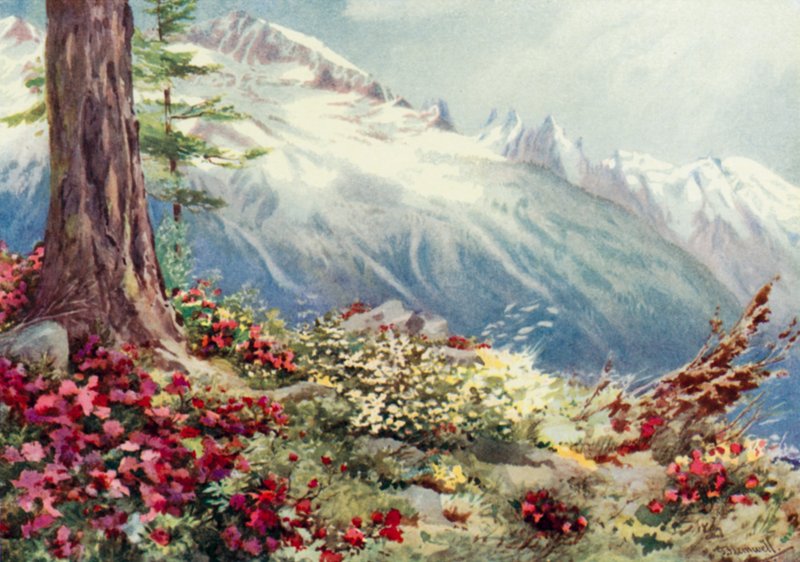 Mont Blanc and the Aiguille Du Midi, Looking from Above Argentiere by George Jackson Flemwell