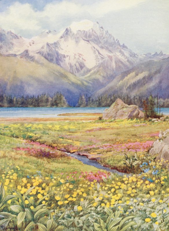 The upper fields of Champex early in June, with the Grand Combin in the distance by George Jackson Flemwell