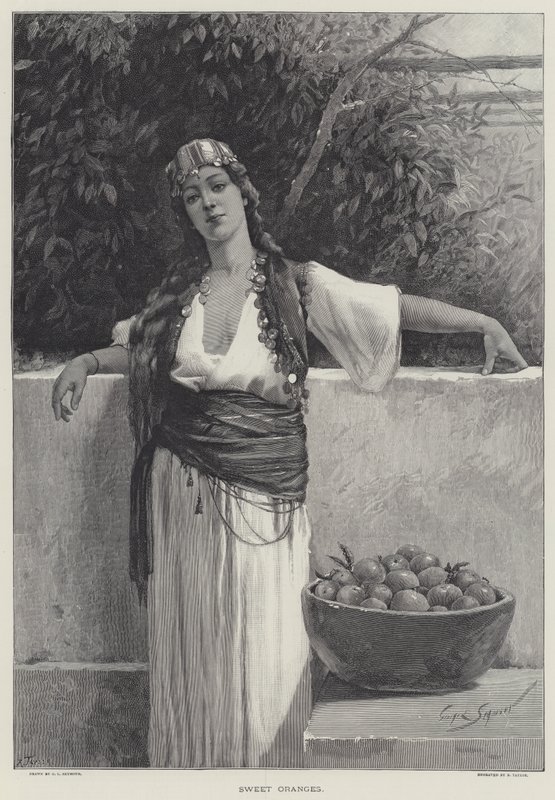 Sweet Oranges by George L. Seymour