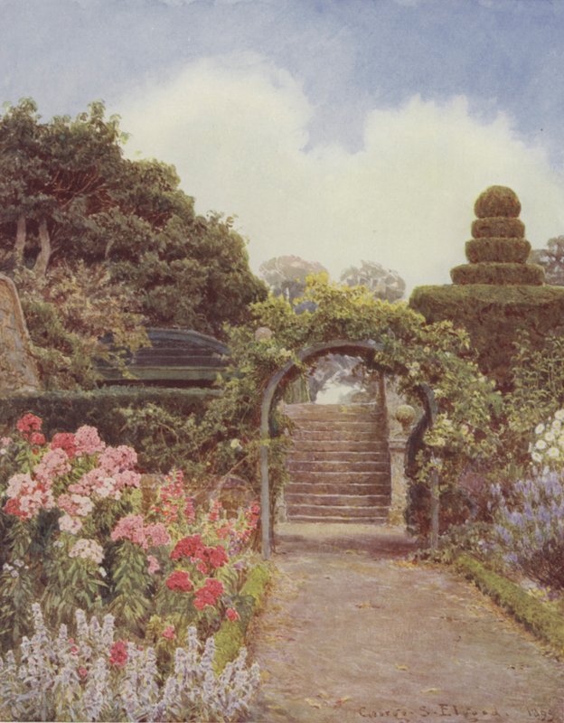 Crathes, Phlox by George Samuel Elgood
