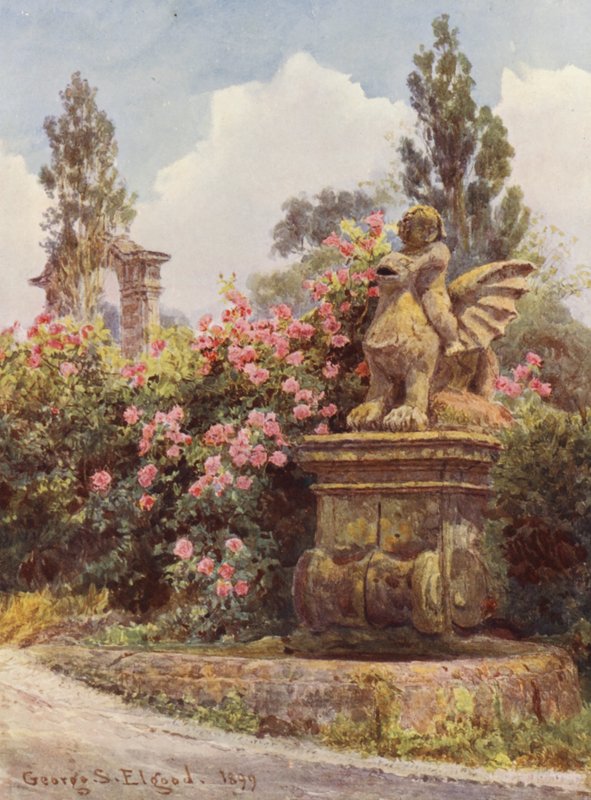 Italian Gardens: China Roses, Villa Imperiali by George Samuel Elgood